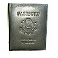 Kozmic Passport Cover