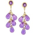 14k Yellow Gold Amethyst Earrings
