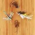 Maximum Bass Selection Fly Fishing Flies