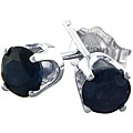 14k White Gold Blue Sapphire Stud Earrings
