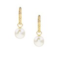14k Yellow Gold Freshwater Pearl Hoop Earrings