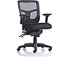 Ergo Mesh Back Task Chair