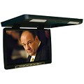 Letterbox 17.1-inch Roof Mounted Screen