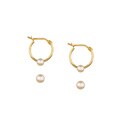 14k Gold Hoop with Pearl and Pearl Stud Earrings (3-3.5 mm)