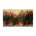 Carol Rowan Pattys Tulips Framed Canvas