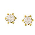14k Yellow Gold Cubic Zirconia Buttercup Earrings