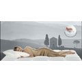 Naturals Memory Foam Down Bed Pillow
