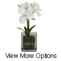 Silk Amaryllis with Glass Vase