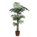 Areca Silk Palm Tree (65 in.)
