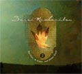 Sarah McLachlan - Rarities, B-Sides And Other Stuff, Volume 2