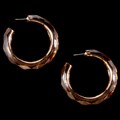 R.J. Graziano Bronze Metallic Lucite Hoop Earrings