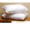 IsoCool Polyester Pillow (Pack of 2)