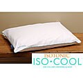 IsoCool Traditional Shape Memory Foam Pillow