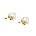 14k Yellow Gold Freshwater Pearl Earrings (6.5 mm)