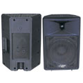 PylePro 1000-watt 15-inch 2-way Loudspeaker