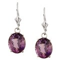 14k White Gold Amethyst Leverback Earrings