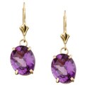 14k Yellow Gold Amethyst Leverback Earrings