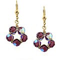 Goldfill Purple Crystal Circle Earrings