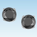14k White Gold 1ct TDW Black Diamond Stud Earrings
