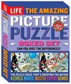 Picture Puzzle (Paperback)