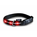 Large Visiglo LED Dog Collar with Batteries