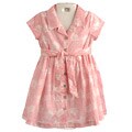 Lucy Sykes Toddler Girl's Pink Collared Dress