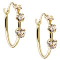 14k Yellow Gold Hoop CZ Earrings