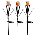 Tulip Solar Garden Lights (Set of 3)
