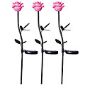 Rose Solar Lights Set (Set of 3)