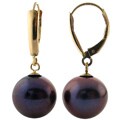 14k Yellow Gold Black Cultured Pearl Drop Earrings (9-9.5 mm)