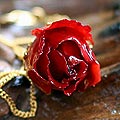 22k Goldplated 'Crimson Beauty' Rose Necklace (Thailand)