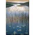 William Vanscoy 'You Forgot To Leave Me' Gallery Wrap Canvas