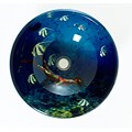 DeNovo Bathroom Aquarium Glass Vessel Sink