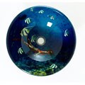 DeNovo Angelfish Delight Glass Vessel Sink