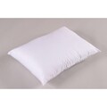 Debut Standard Twin Pillows (Pack of 2)