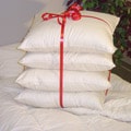 Organic Cotton Queen-size Pillows (Pack of 4)
