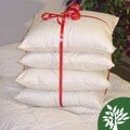 Organic Cotton King Size Pillows (Set of 4)