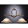 Buckhorn 2-light Hanging Fixture