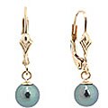Cultured Akoya Black Pearl Leverback Earrings (7-7.5 mm) (Case of 3)