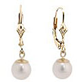 14k Gold Cultured White Akoya Pearl Leverback Earrings (7-7.5 mm) (Case of 3)