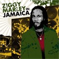 Ziggy Marley - Ziggy Marley In Jamaica [7/15]