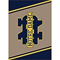 Notre Dame University Rug (2'8 x 3'10)