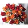 24 Fresh Cut Red and Orange Roses