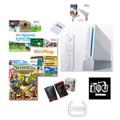 Nintendo Wii Bundle Summer Fun Bundle
