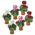 Brown Vase Potted Artificial Geraniums (Set of 6)