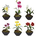 Little Black Vase Artificial Floral Assortment (Set of 6)