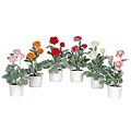 White Vase Artificial Ranunculus Flower (Set of 6)