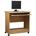 Rolling Computer Workstation