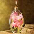 Kahar 24-ounce Pink Gladiolus Botanical Oil Lamp