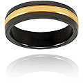 Black and Goldplated Polished Titanium Ring